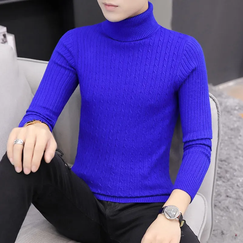 Solid Color Turtleneck Sweater